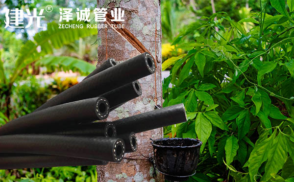 我們的優勢1.jpg